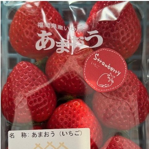 fruit