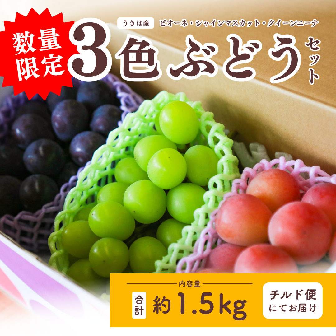 【数量限定】３色ぶどう豪華セット